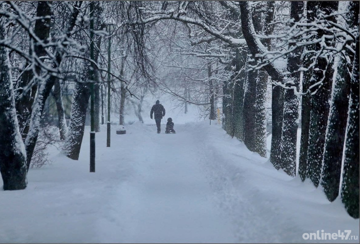 фото: Валентин Илюшин/Online47