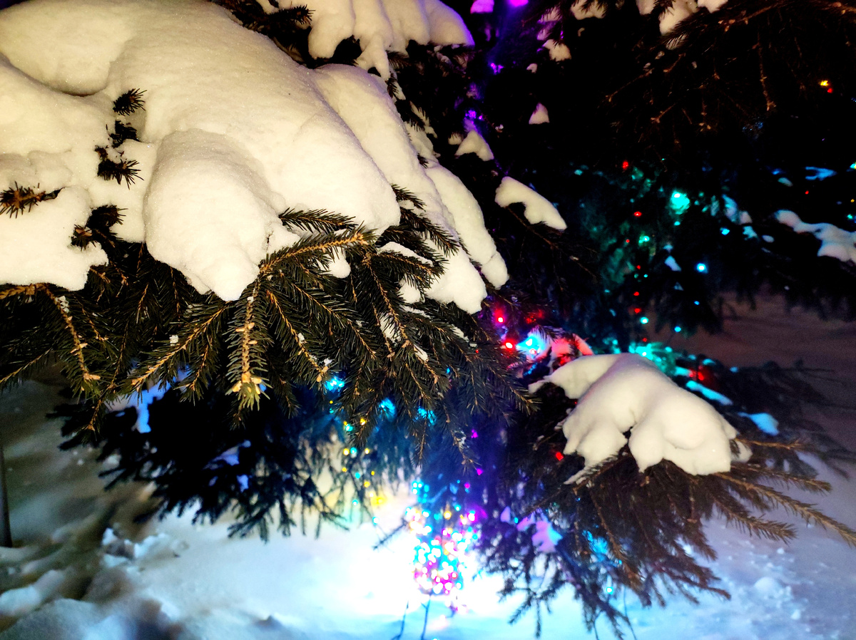 Фото автора 