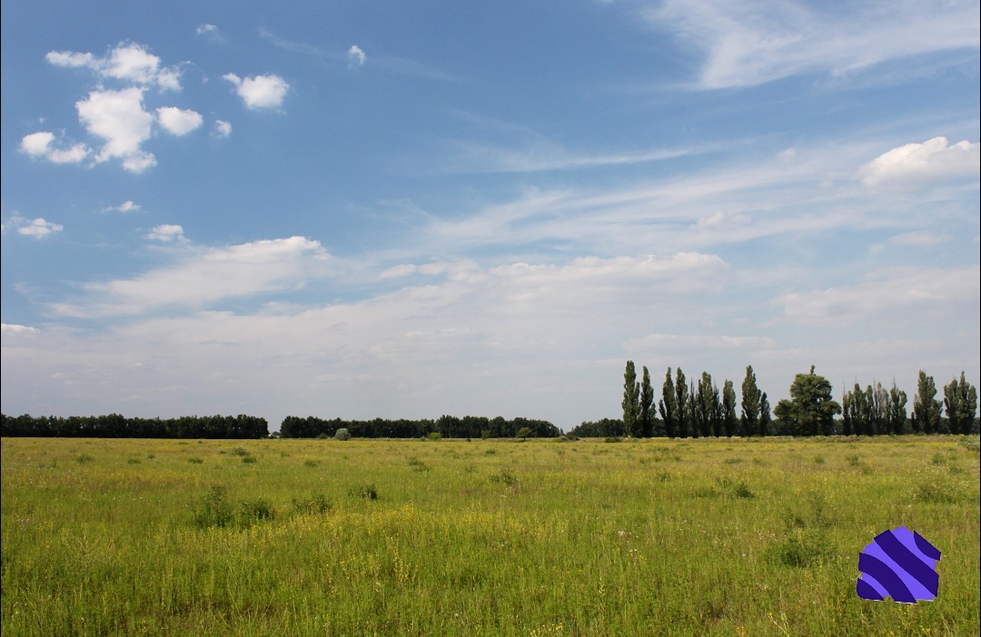 Земельный участок в собственности 
