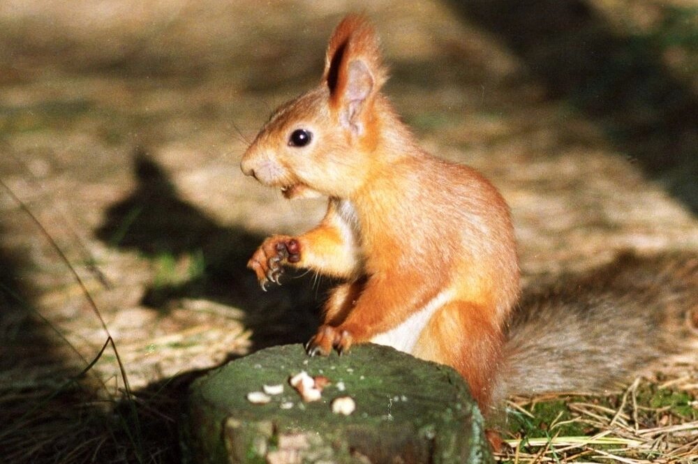    Фото: РИА Новости/ Юрий Кавер