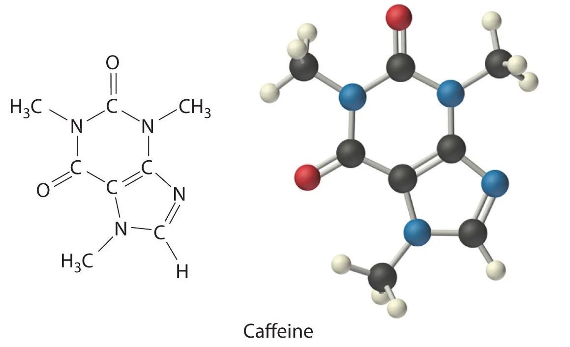 Фото взято из общедоступного источника.
