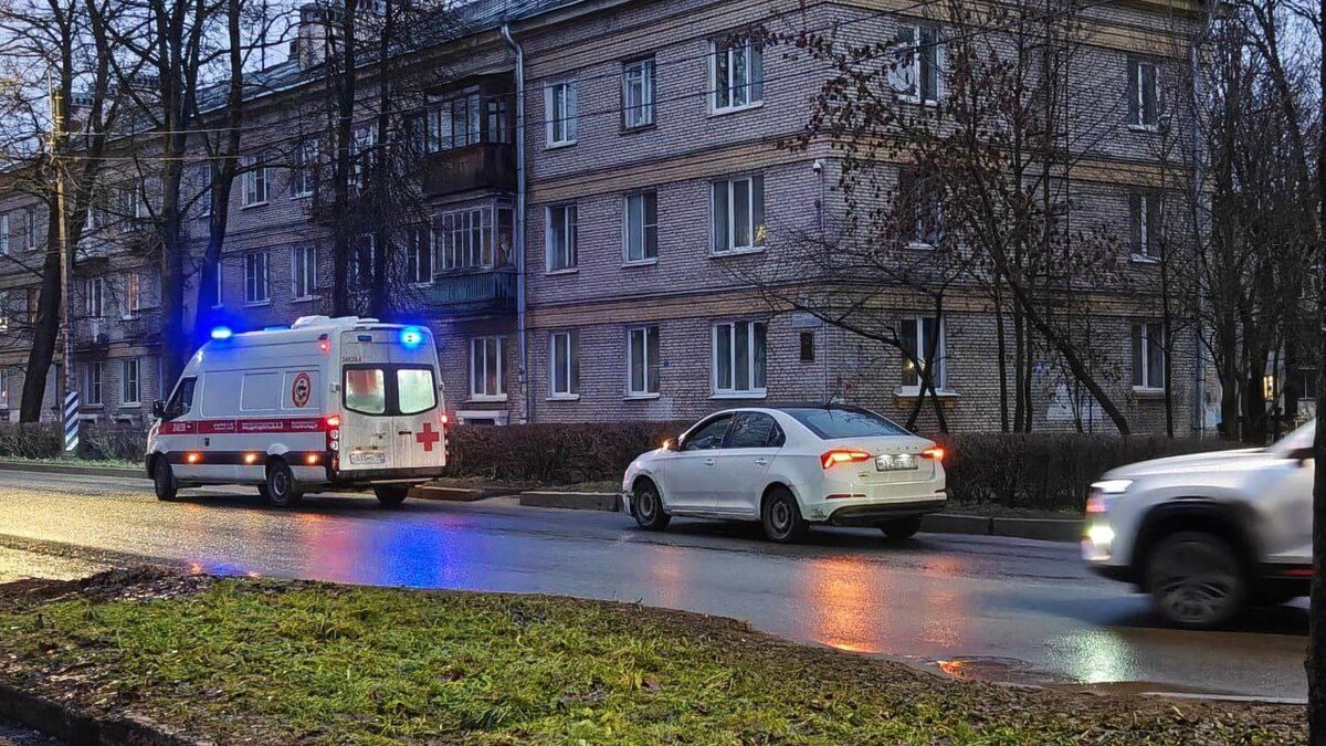    Фото: tg-канал «Красносельский LIFE»