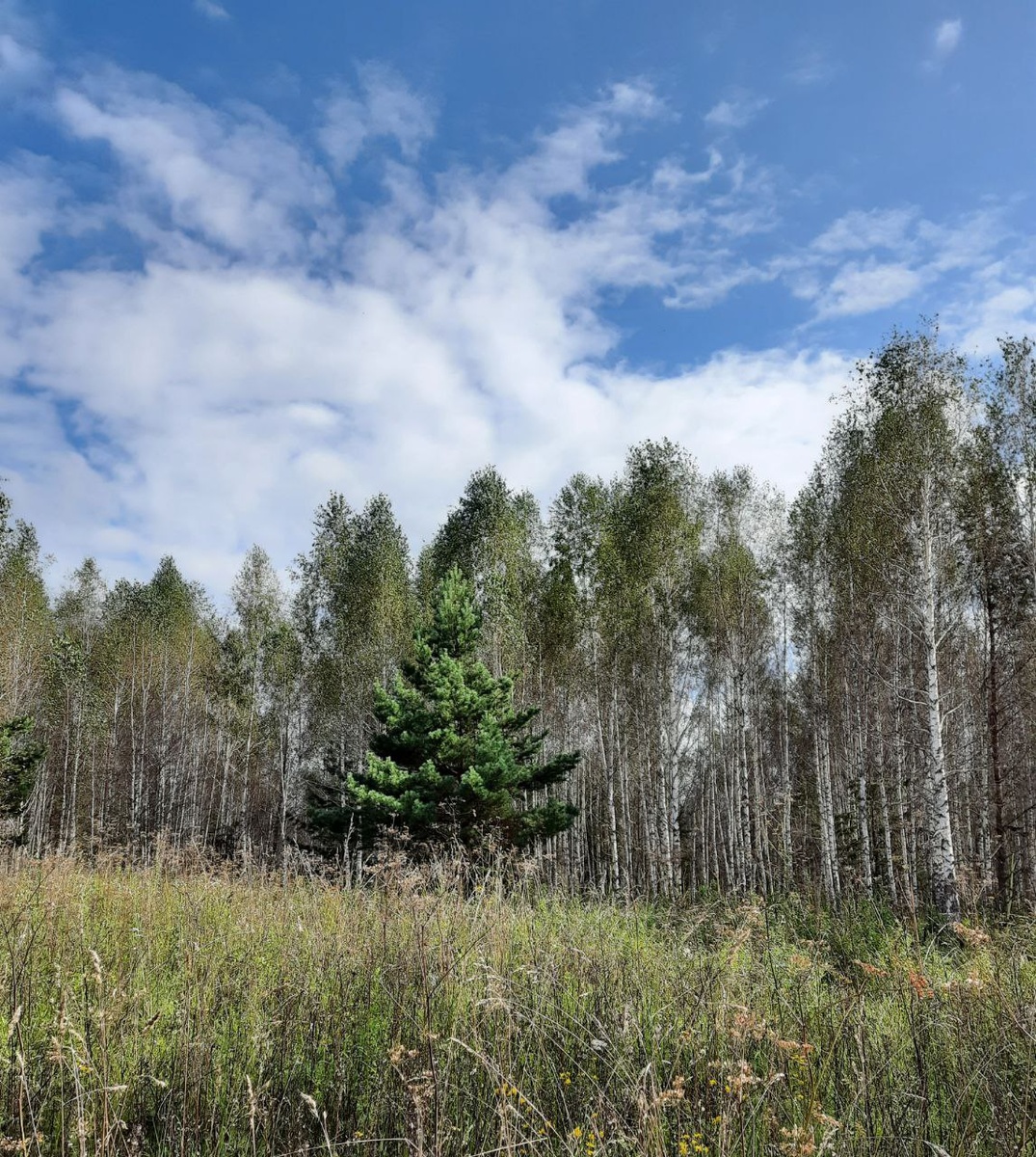 © Радугамира 