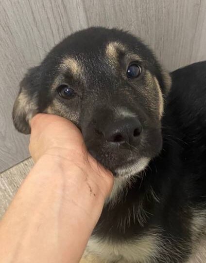 Знаете, кто больше всех хочет домой?