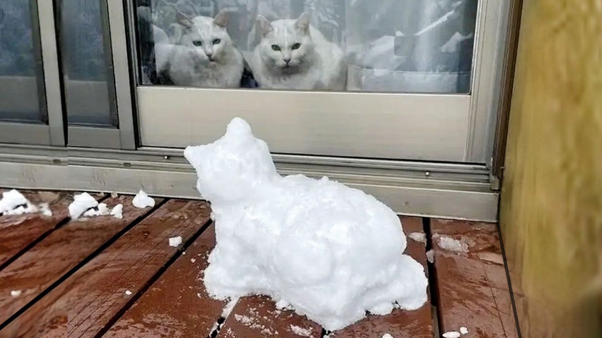 - Это могли бы быть мы с тобой...  - Хорошо, что мы не выходим на улицу!