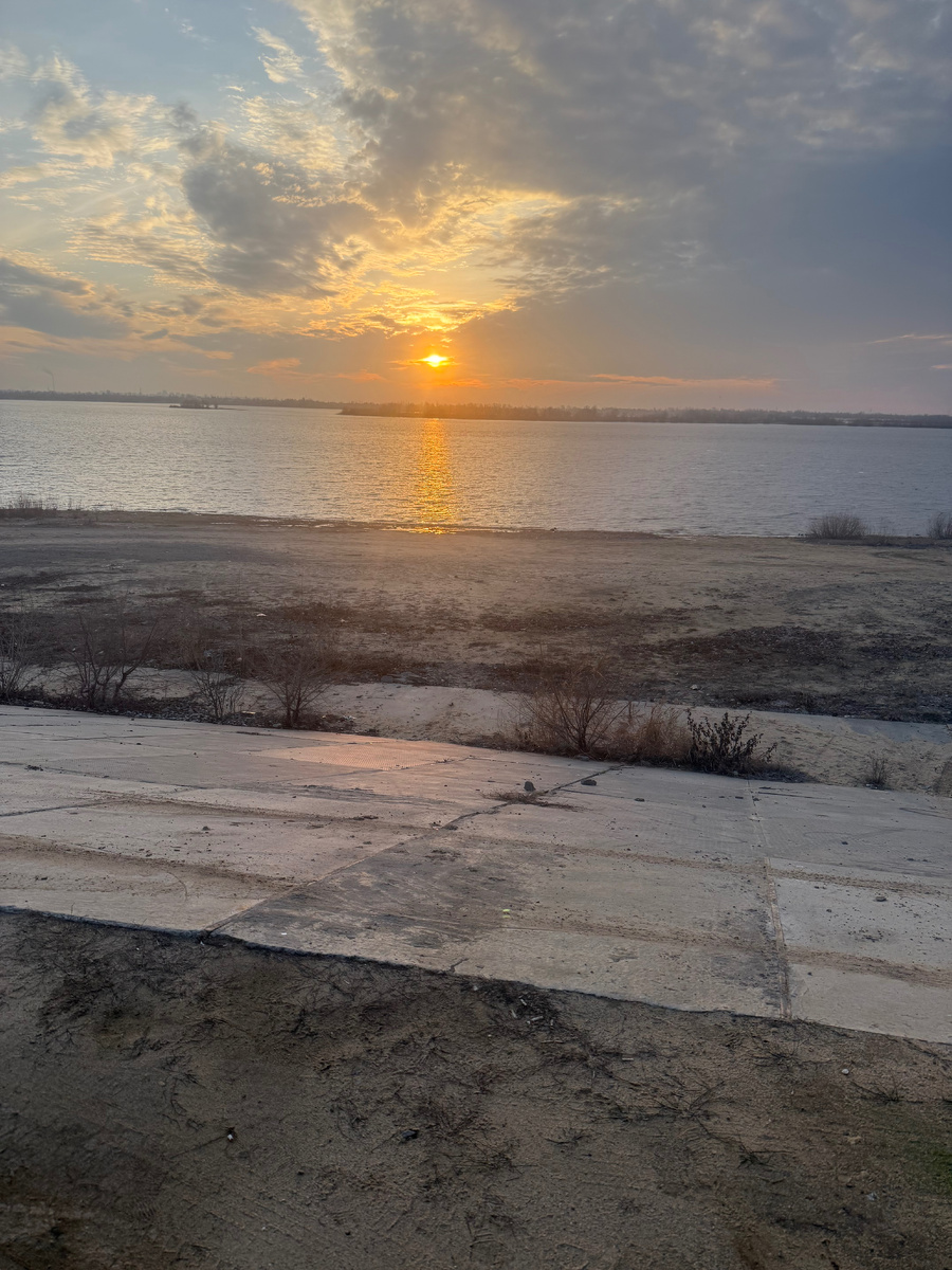 С утра с собакой гуляли