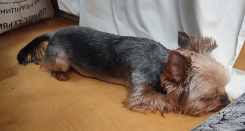    Фото irkutsk.news