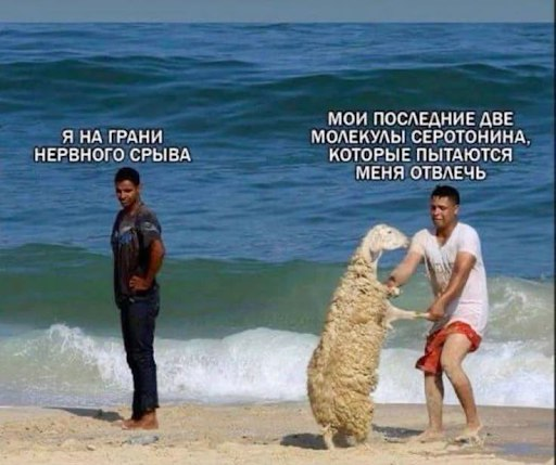 Спорт, мозг и депрессия: инструкция для тех, у кого нет сил