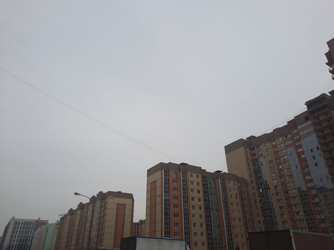    Фото: Виктория Чужавская