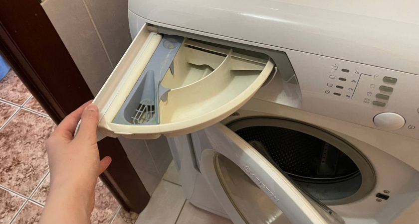    Автор фото - Анна Ефимова