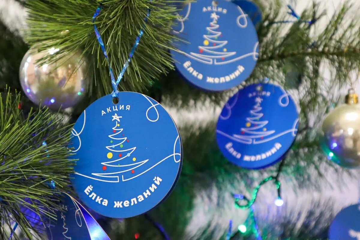    Фото: открытый источник