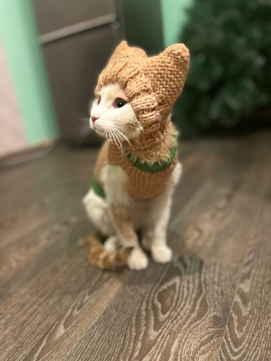 Знакомьтесь: Бушик