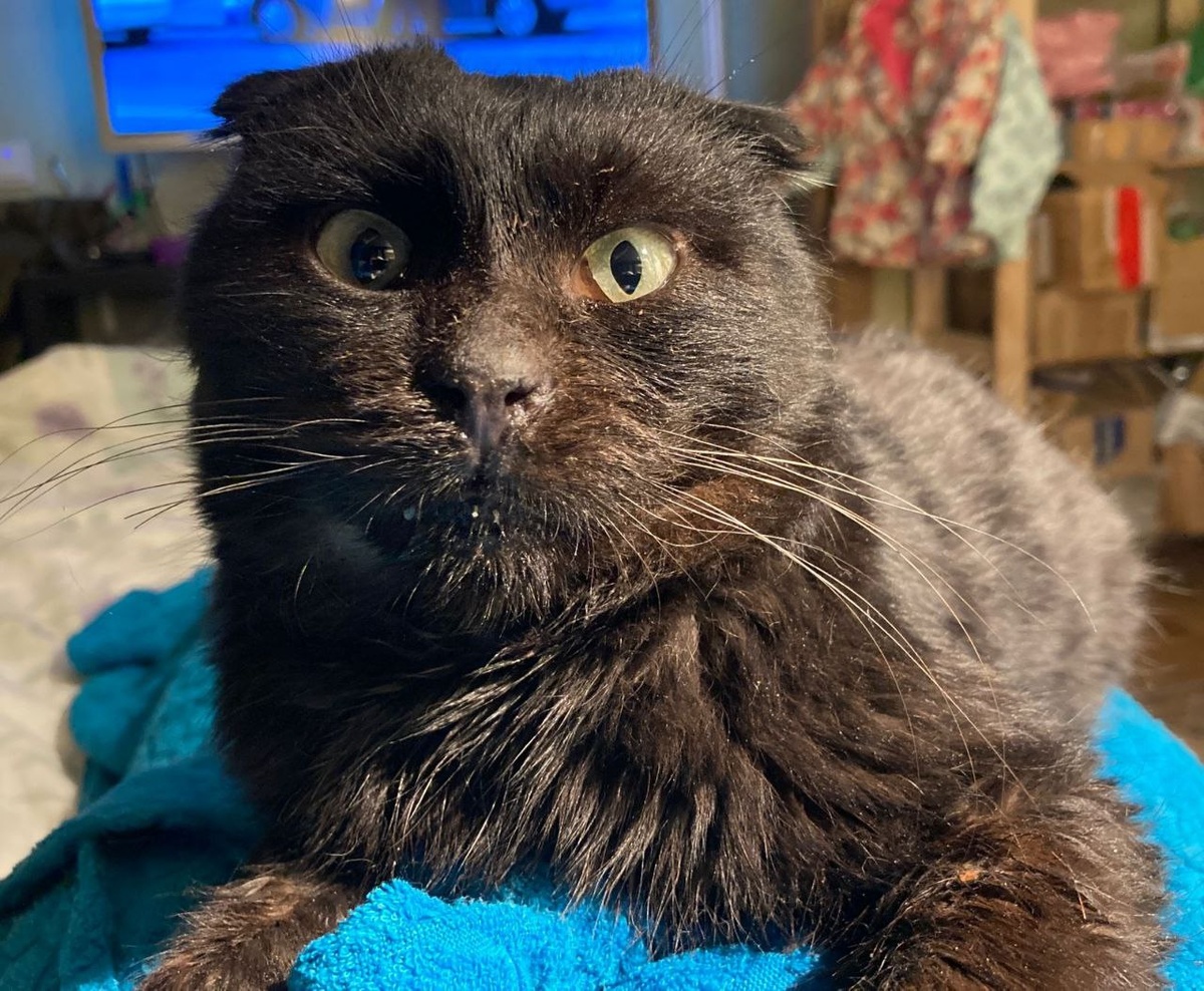 Менря до сих пор всё еще спасают...