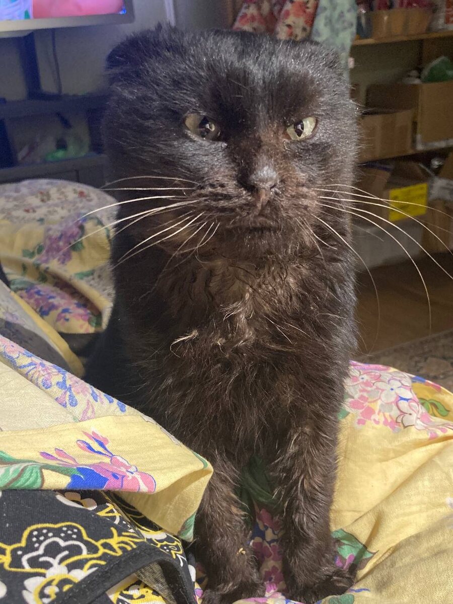 А когда радоваться можно будет?