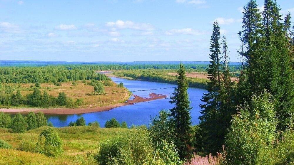 Фото из Янекса