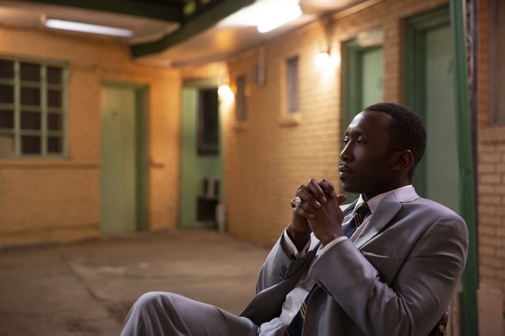 Препарируя Идеального: Доктор Ширли