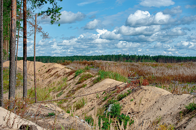 На 95% площади обследованных сельхозземель в Тверской области выявлены нарушения