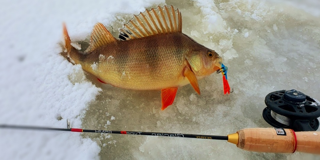 Окунь игнорирует балансир? Тактика «Нервного срыва»