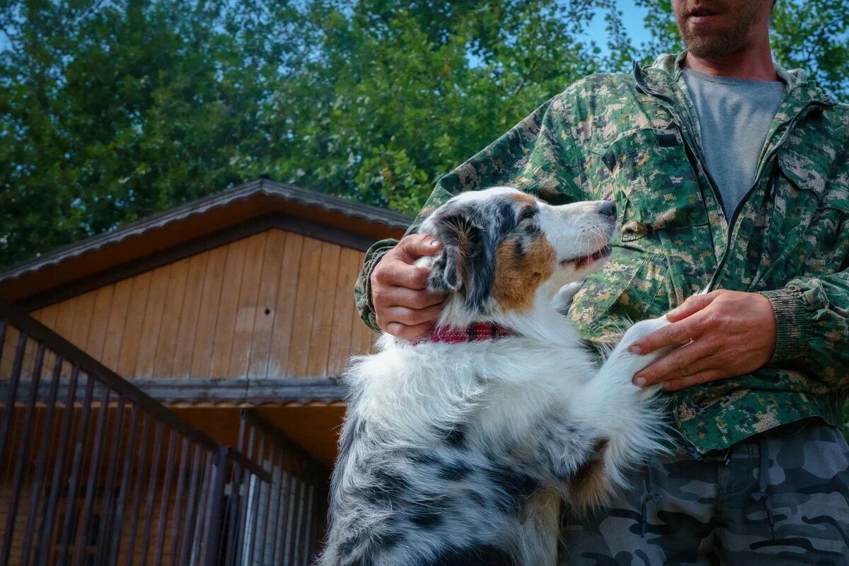 Зоогостиница "Атаман" - в списке десяти лучших зоогостиниц Москвы 