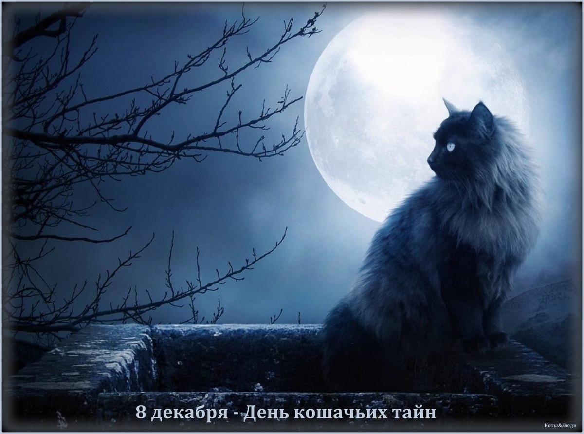 Коллаж автора. Использовано фото: proza.ru