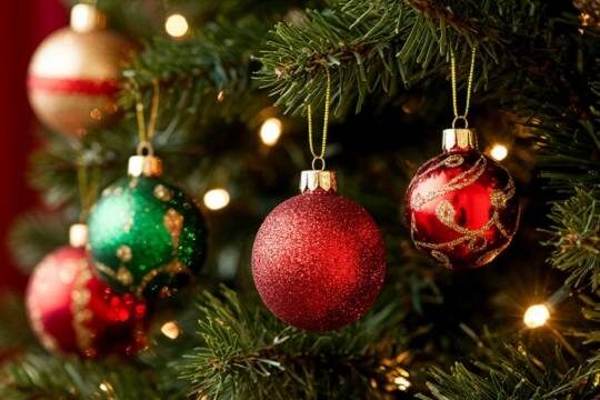    Эксперт раскрыл главные секреты выбора живой ёлки