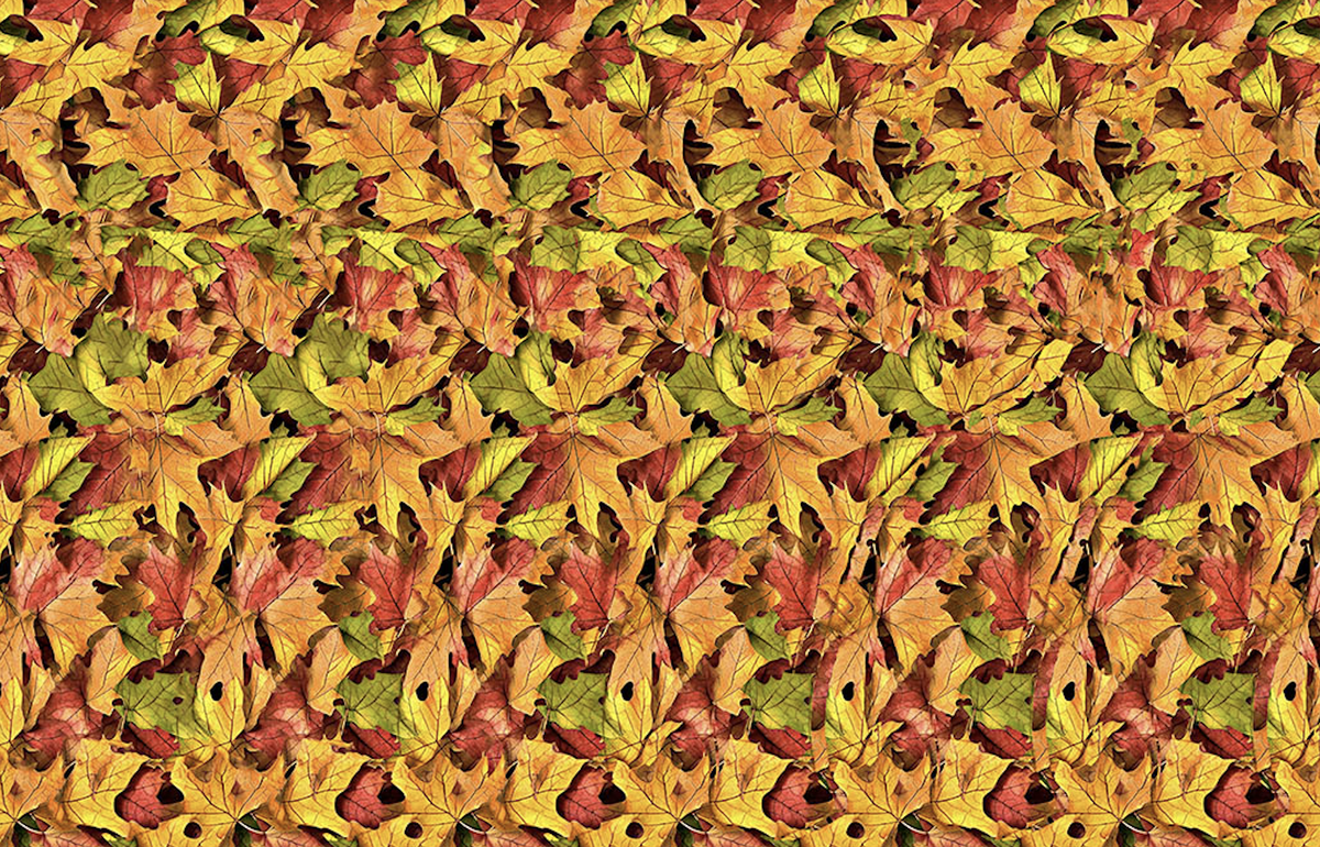 Хэллоуинская стереокартинка с эффектом скрытого 3D-изображения: картинка расскрывается когда правильно смотришь на стереограмму. Атмосферная оптическая иллюзия для любителей мистики.