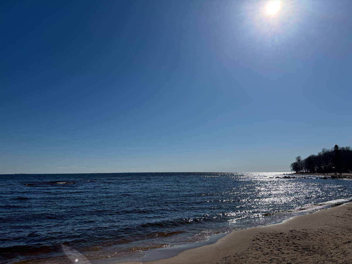 Пейзажи Репино. Листайте галерею.