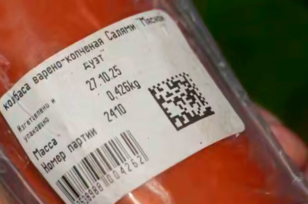 Скриншот: Народный контроль «Единой России»