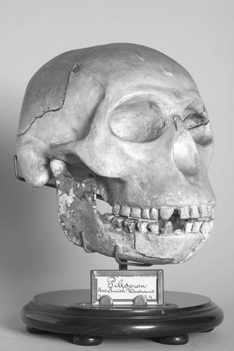 Учёные искали истину, а нашли самую большую ложь века.