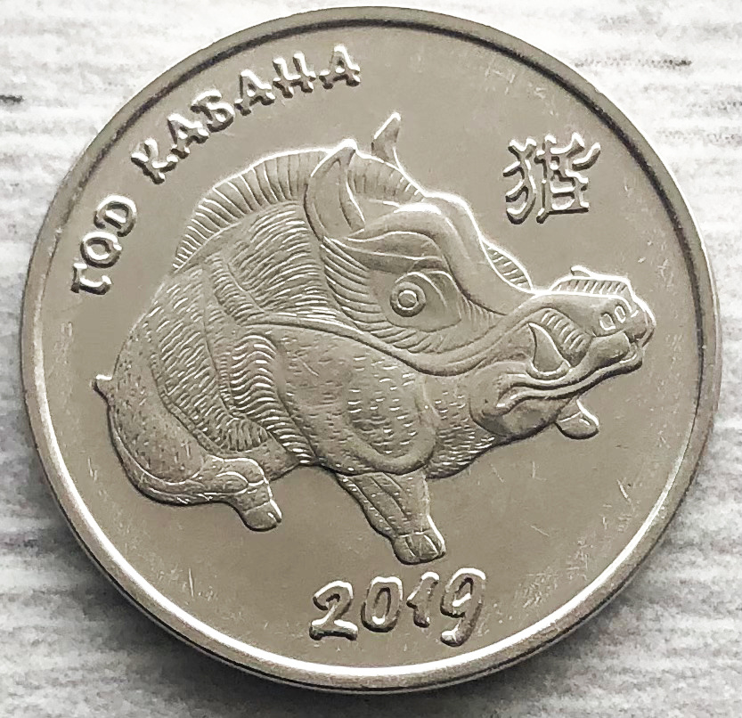 Приднестровье 1 рубль 2018.      "2019 год кабана". Фото автора. 