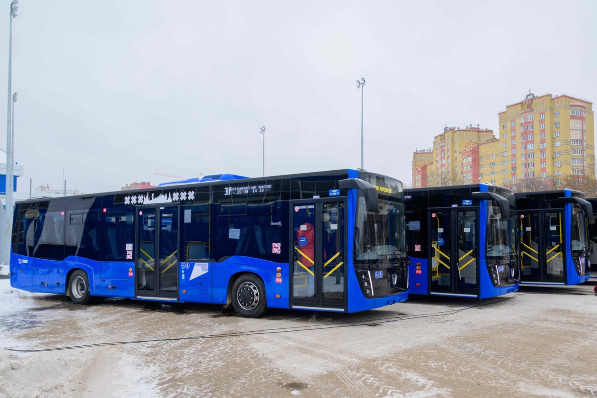 Фото Дениса Речкина / пресс-служба Главы Марий Эл