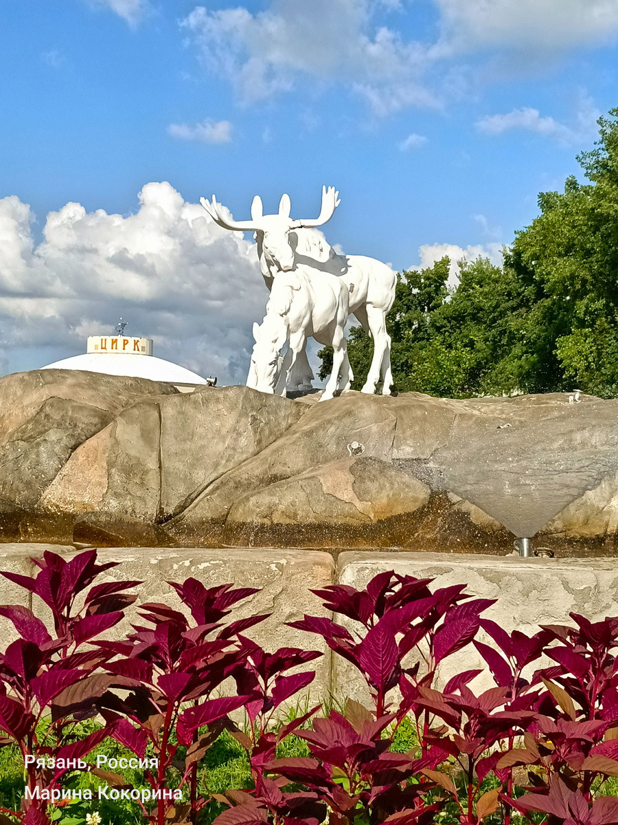 Фото автора