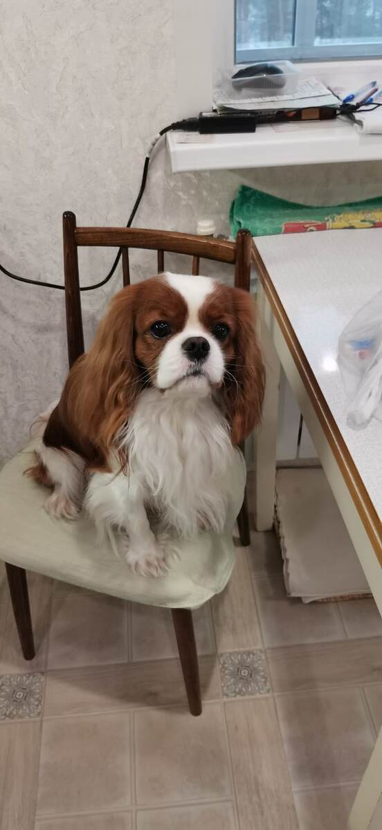 Санлайт Сэмуэль, серьёзный парень