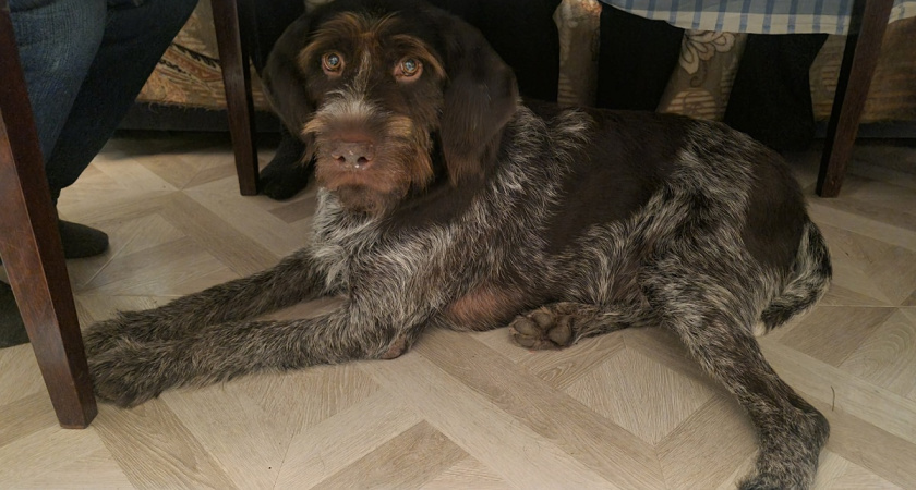    Фото Анастасии Дмитриевой