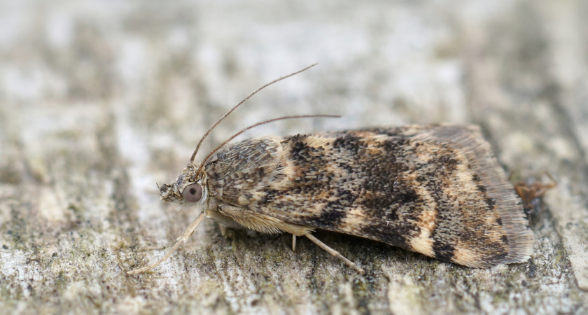    Фотография freepik.com