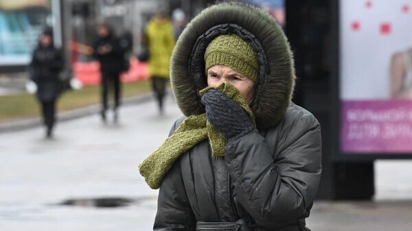    © Sputnik / Виктор Толочко