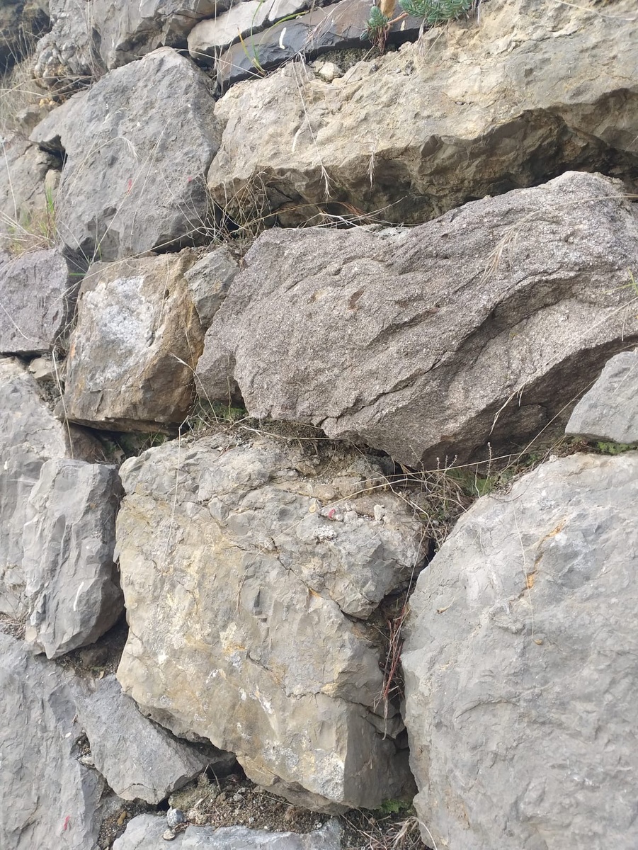 Фото подпорной стены с оползневого склона 