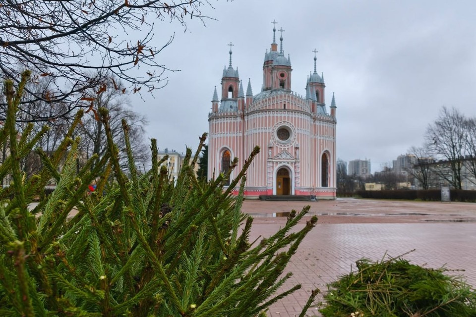    Елочки высадили на улицах города. Фото: t.me/komkras
