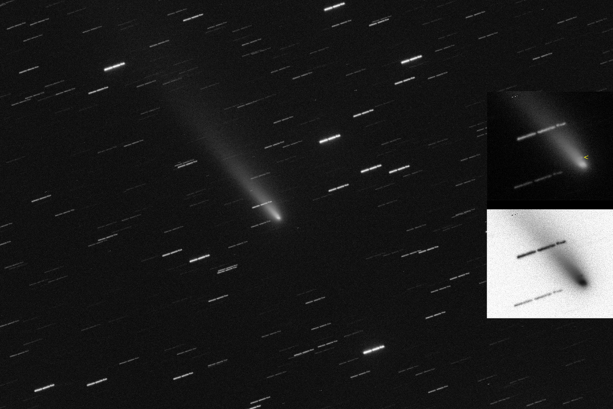 Комета C/2025 K1 (ATLAS) 28 ноября 2025 года, изображение из открытых источников
