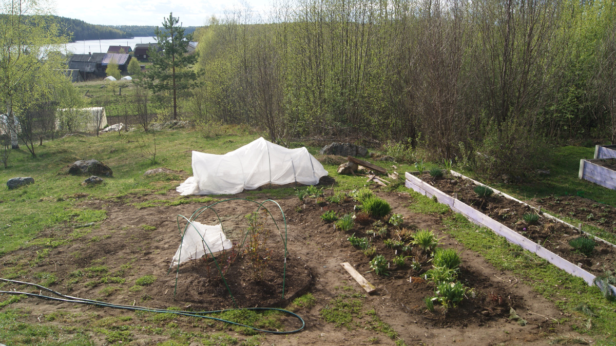 Самое начало