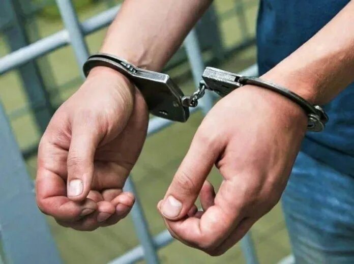    Источник фото: onlinevologda.ru