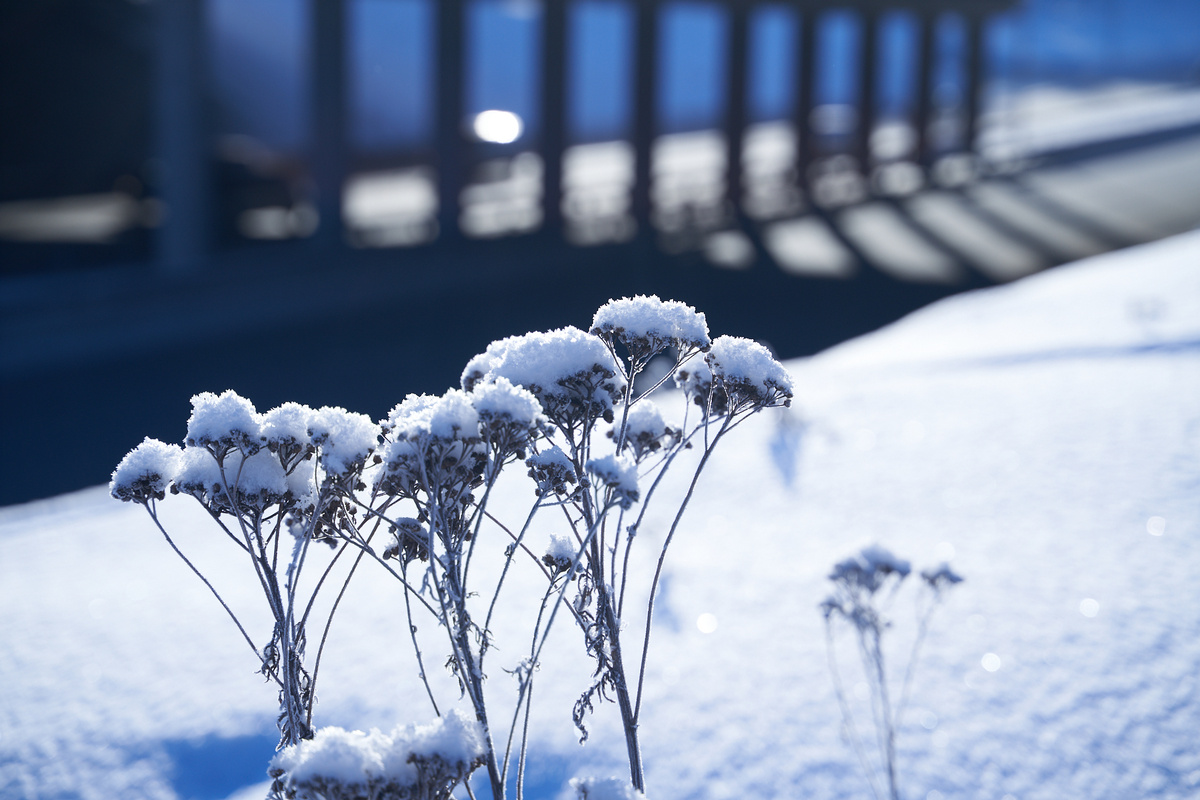    Фото: Лидия Аникина