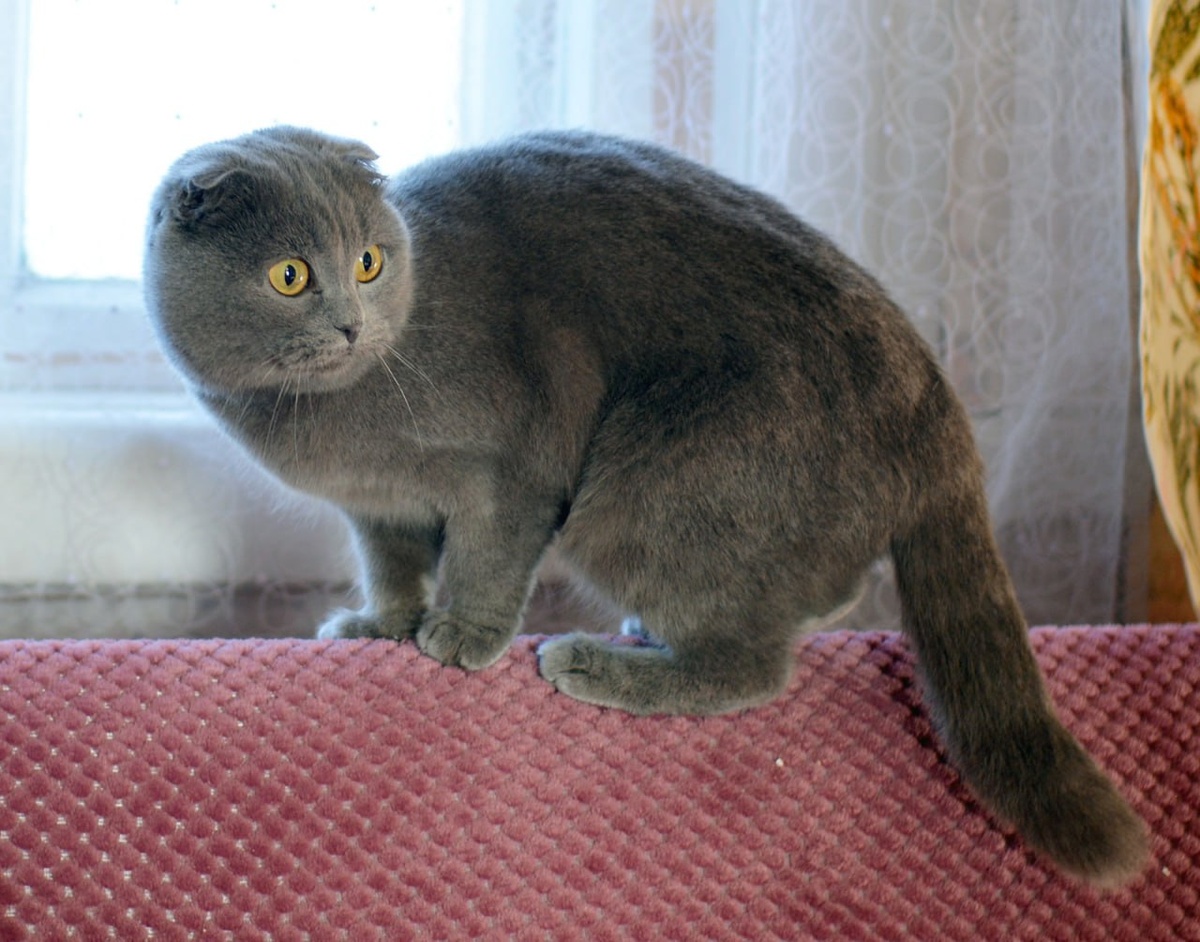 Мы посланы на Землю из космоса