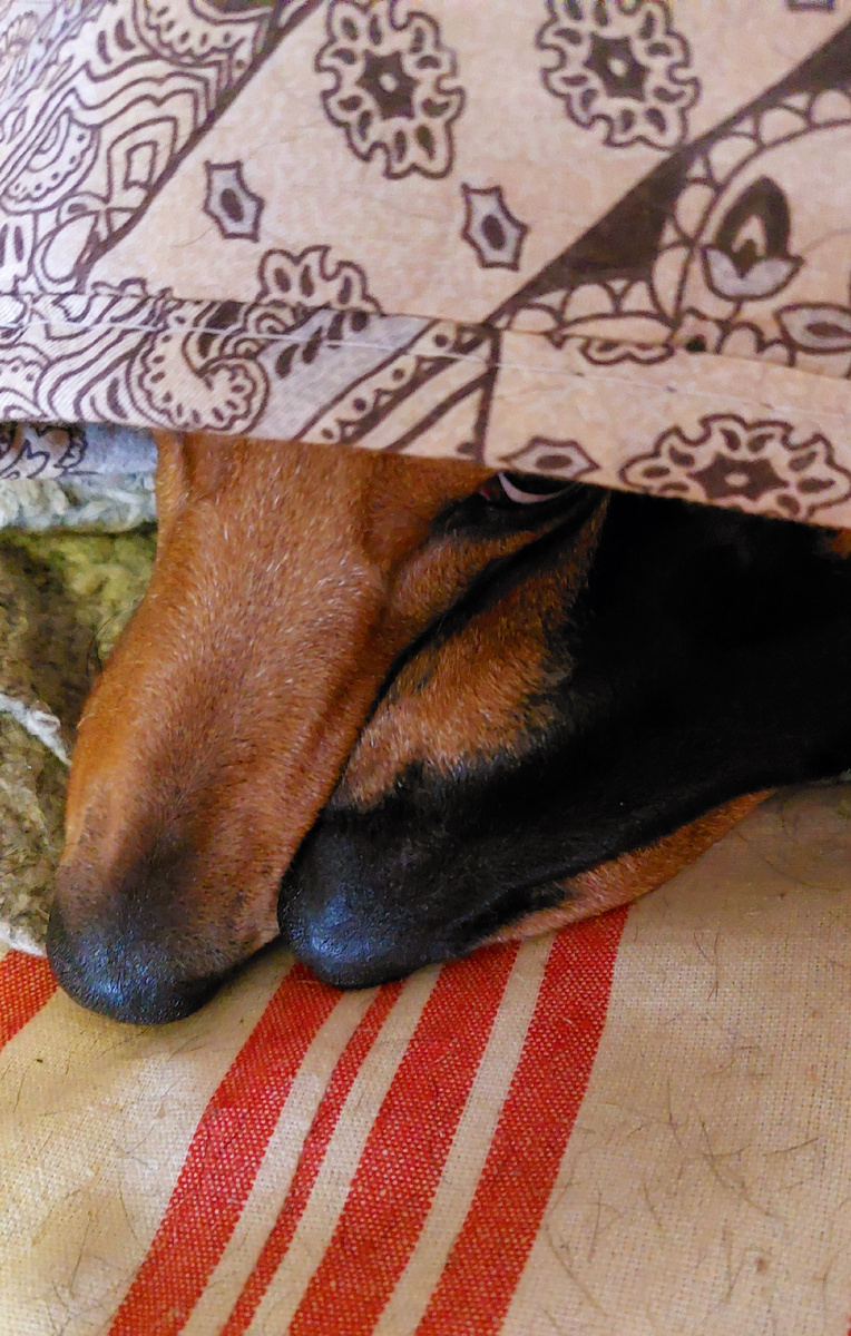 Мася и Мотя