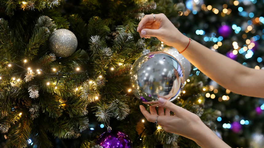    Фото: ИЗВЕСТИЯ/Дмитрий Коротаев