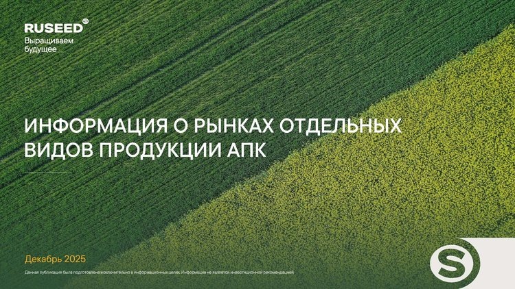    Обзор мировых рынков зерна и масличных в декабре 2025 года