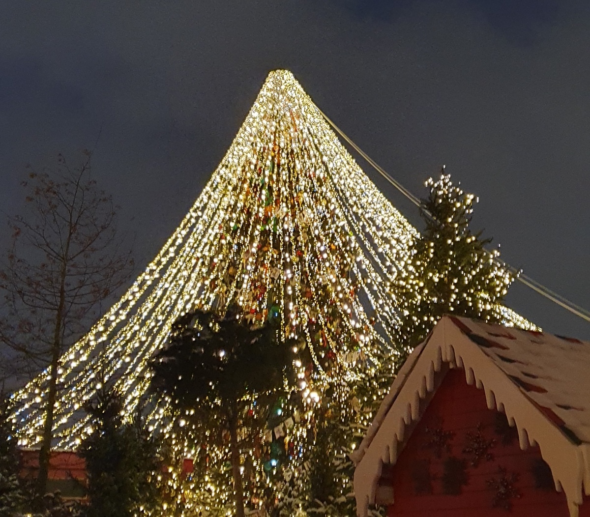 Ёлка у Красной площади. Фото автора.