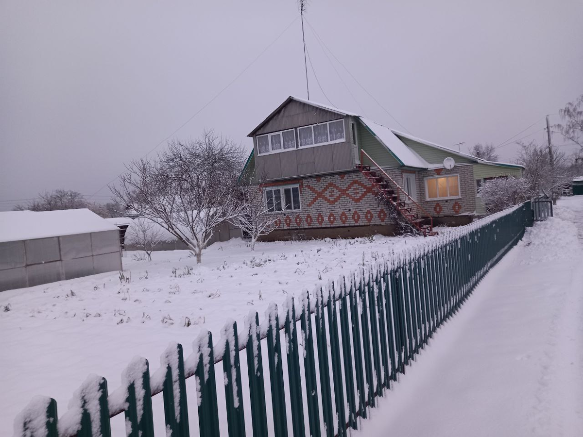 Был снег, но уже растаял. Вчера весь день лил дождь. Брянская область. Ждём теперь мороз.