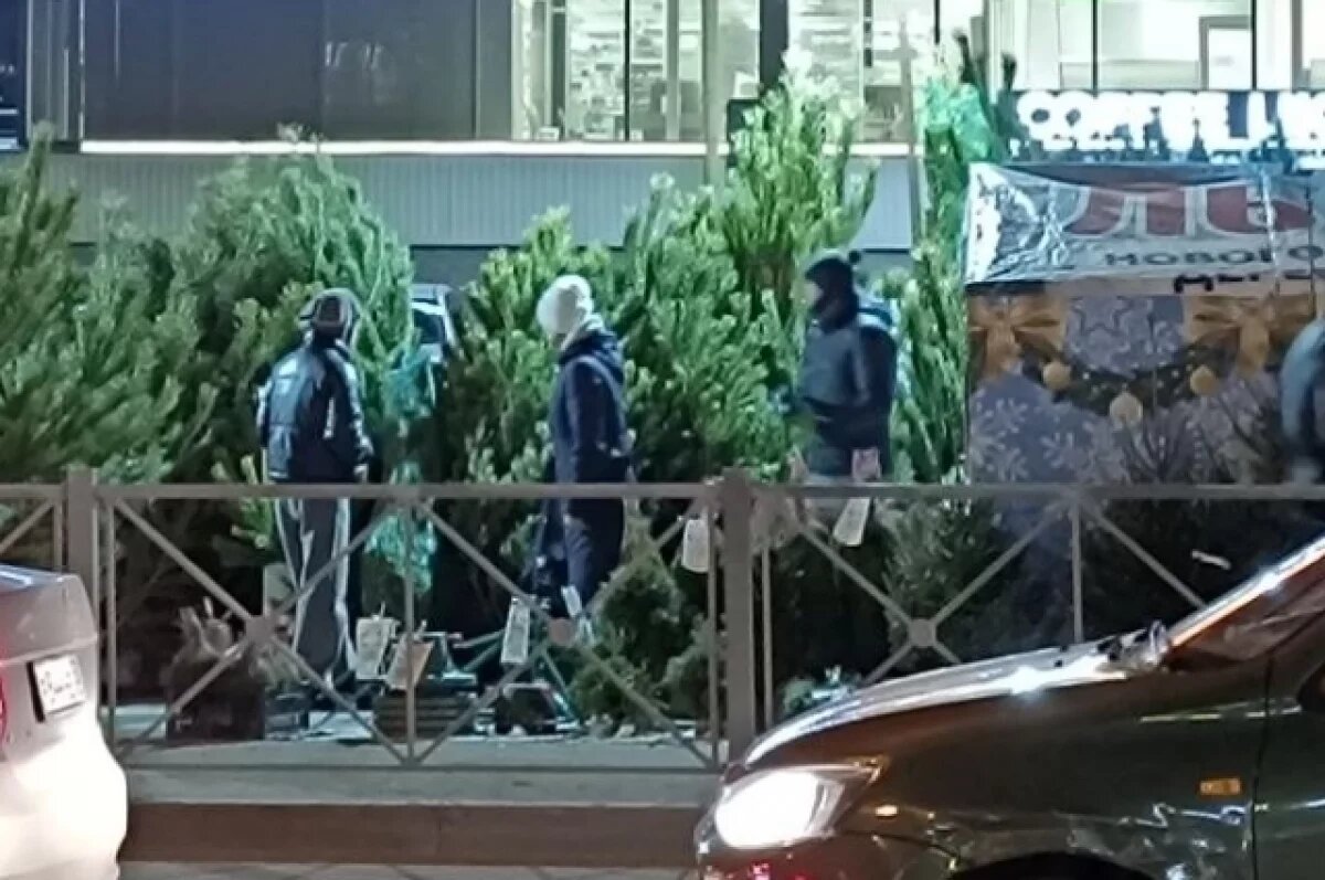    Самые маленькие сосны, чуть выше метра, продаются на ёлочных базарах в Пензе за 1600 рублей.