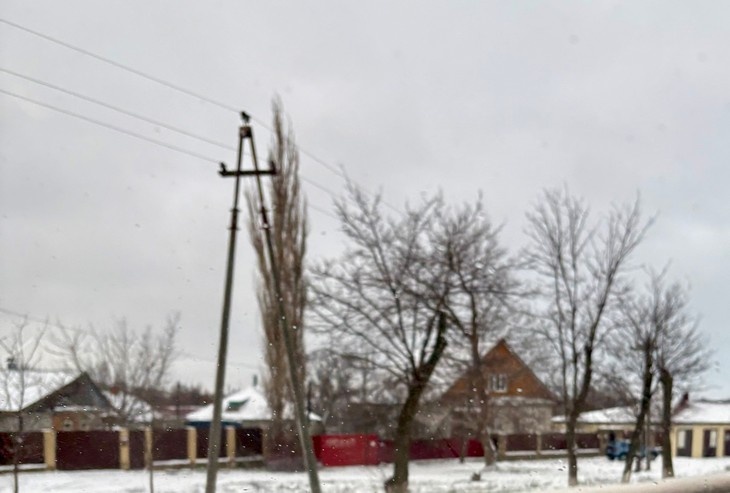    природа Алексеева Наталья